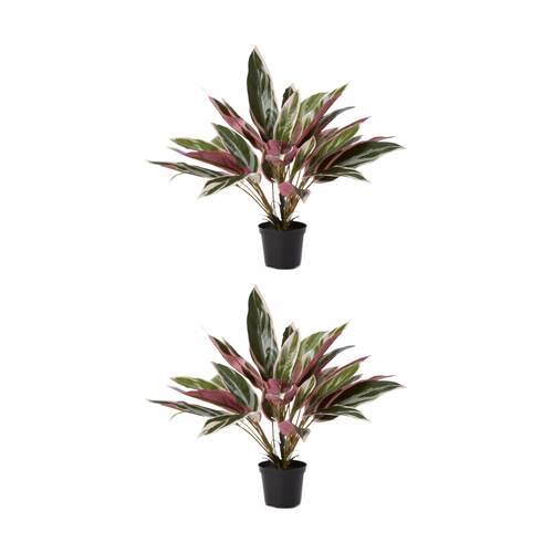 2PK E Style Cordyline Potted Plant Artificial Indoor Pink Green 40x40x45cm