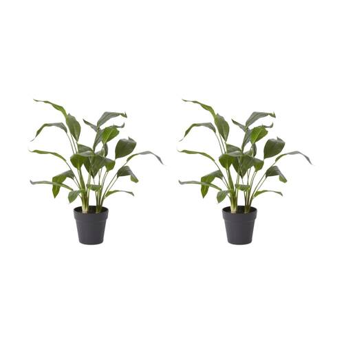 2PK E Style Cordyline Plant Potted Artificial Plastic Wire Green 48x42x60cm