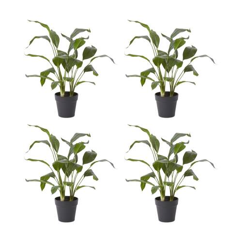 4PK E Style Cordyline Plant Potted Artificial Plastic Wire Green 48x42x60cm