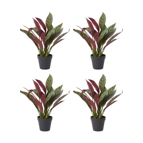 4PK E Style Calathea Zebra Plant Potted Plastic Fabric Wire Red Green 42x38x49cm