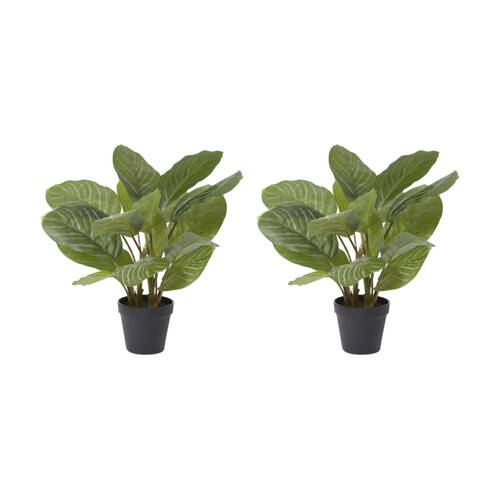 2PK E Style Aglaonema Plant Potted Plastic Fabric Wire Green 42x34x46cm