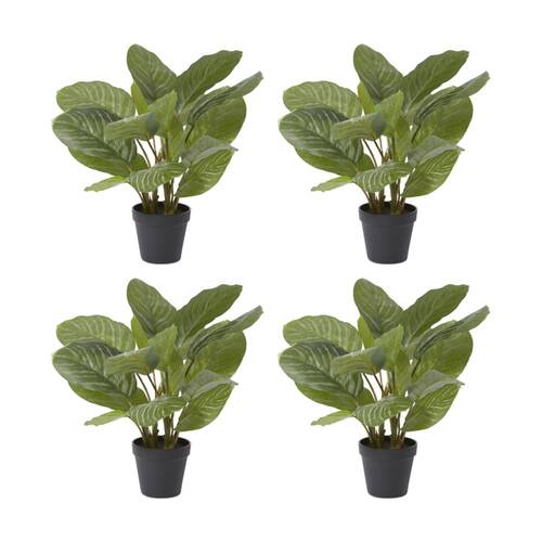 4PK E Style Aglaonema Plant Potted Plastic Fabric Wire Green 42x34x46cm