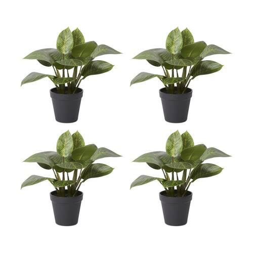 4PK E Style Philodendron Birkin Plant Potted Plastic Wire Green 34x32x31cm