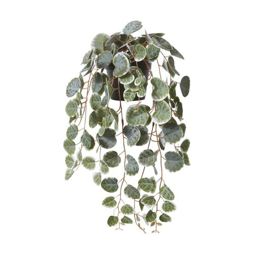 E Style String Of Hearts Plant Potted Plastic Fabric Wire Green 24x18x38cm