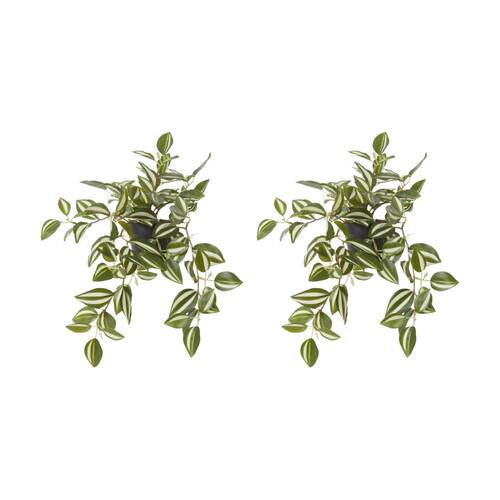 2PK E Style Wandering Jew Plant Potted Plastic Fabric Wire Green 34x28x36cm