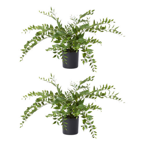 2PK E Style Lacquer Plant Plastic Fabric Wire Cement Decor Green 55x55x45cm