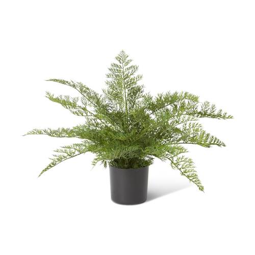 E Style Starter Fern Plant Plastic Fabric Wire Cement Pot Green 60x60x51cm