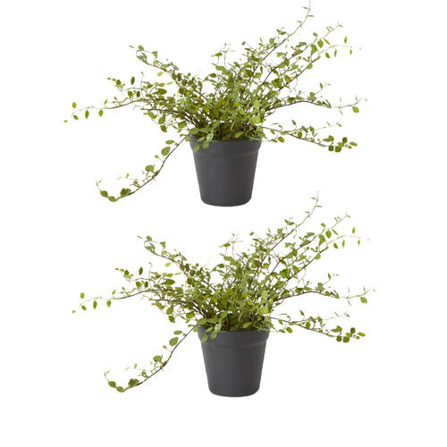 2PK E Style Angel Vine Bush Plastic Wire Flexible Branches Green 41x41x25cm