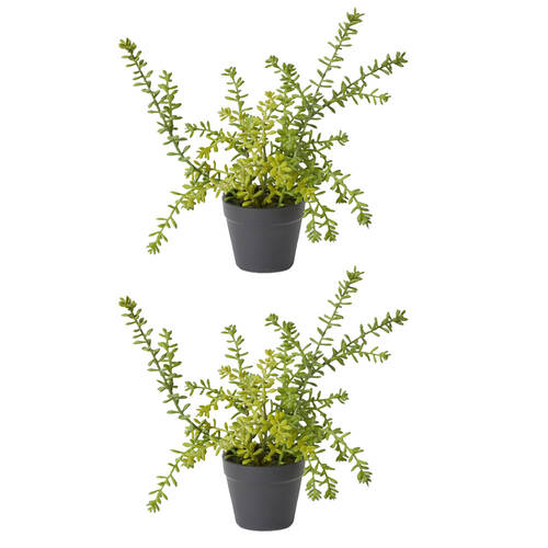 2PK E Style Sedum Plant Plastic Wire Compact Size Realistic Green 20x20x25cm