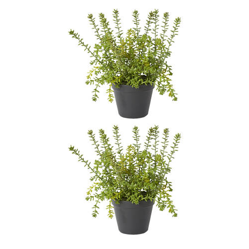 2PK E Style Sedum Plant Plastic Wire Compact Size Realistic Green 25x25x32cm