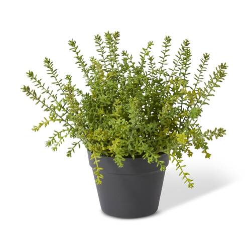E Style Sedum Plant Plastic Wire Compact Size Realistic Green 41x41x39cm