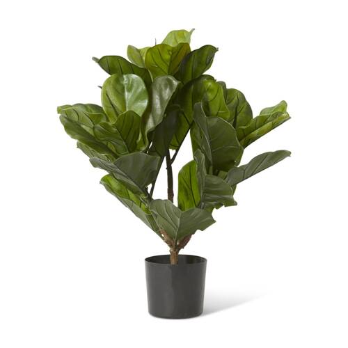 E Style Fiddle Leaf Potted Plant Outdoor Plastic Wire Cement Green 46x38x60cm