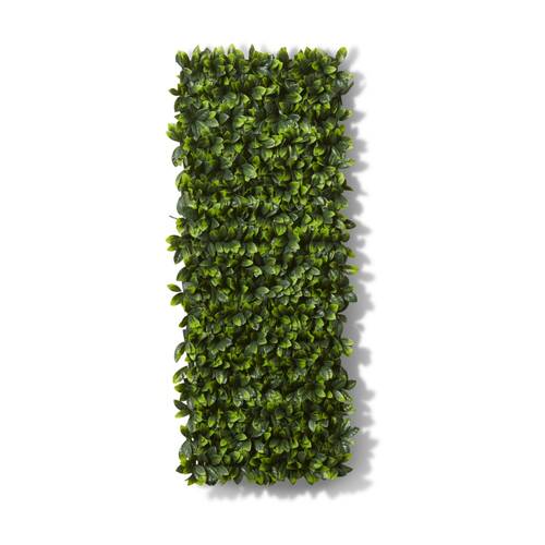 E Style Laurel Extendable Trellis Outdoor PE PVC Artificial Green 100x10x200cm