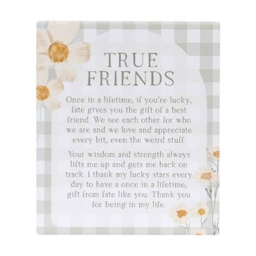 2PK Splosh Rustic Meadow True Friends Verse Ceramic Plaque 12x14 W/ Stand & Hook