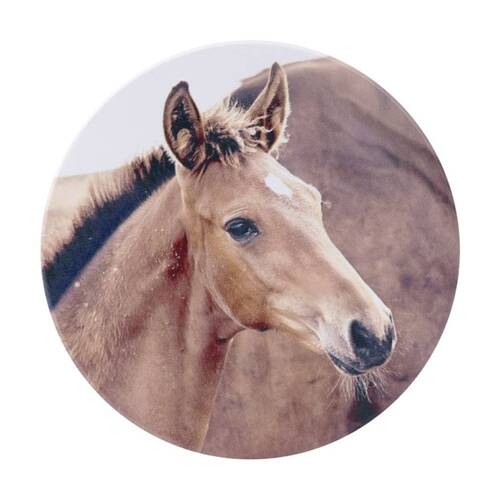 6PK Splosh Rustic Meadow Ceramic Drink Coaster Cork Base Foal 11x11cm