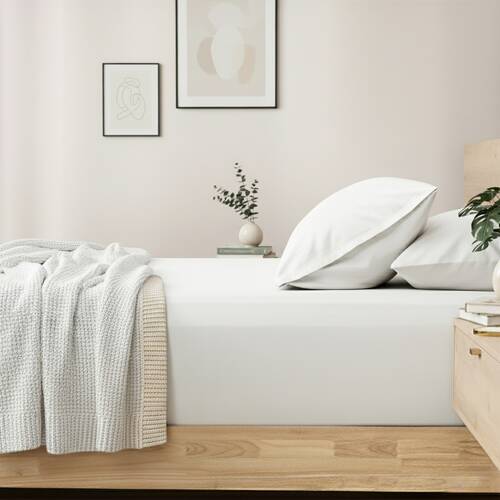 Renee Taylor 400TC Cotton Fitted Sheet & Pillowcase Set White Single