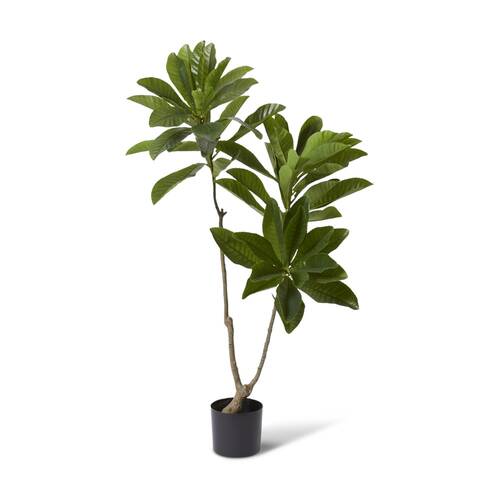 E Style Loquat Tree Artificial Plant Decor Green 88x80x150cm