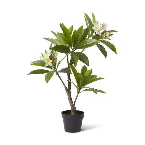 E Style Frangipani Tree Artificial Plant Decor White/Green 60x50x90cm
