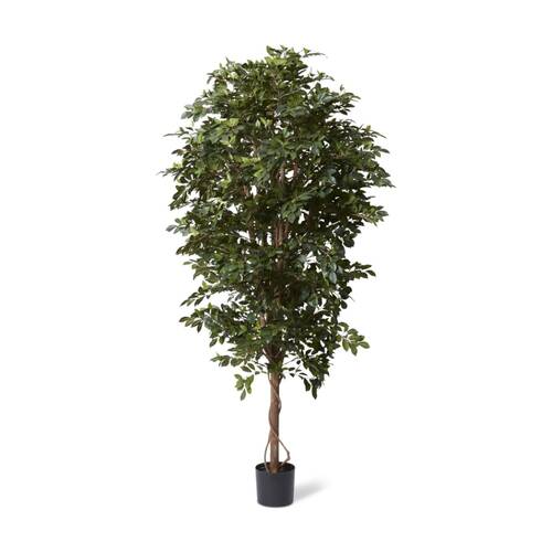 E Style Ficus Retusa Tree Artificial Plant Decor Green 65x65x210cm