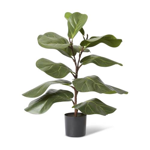 E Style Fiddle Lush Tree Artificial Plant Decor Green 50x40x70cm