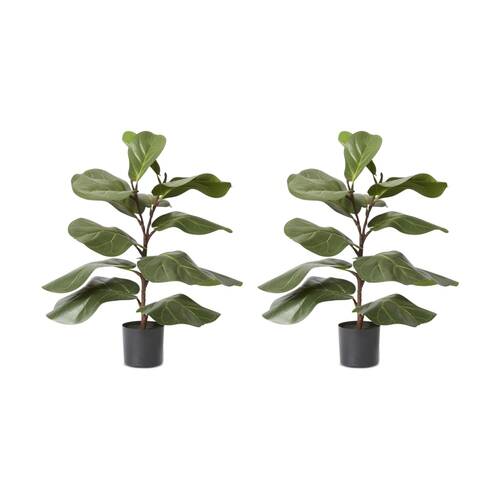 2PK E Style Fiddle Lush Tree Artificial Plant Decor Green 50x40x70cm