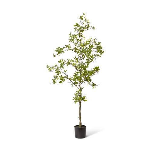 E Style Black Olive Tree Artificial Plant Decor Green 75x50x152cm