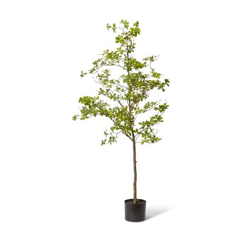 E Style Black Olive Tree Artificial Plant Decor Green 80x55x220cm