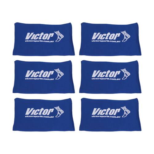 6PK Victor Sports Bean Bag Solid Plastic Fill Educational Sport Blue 10x15cm