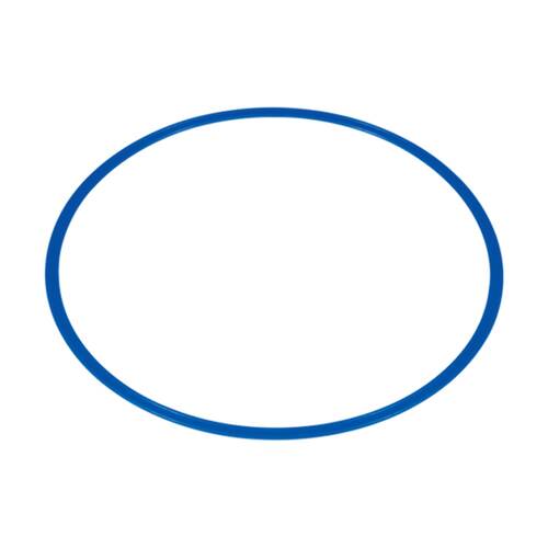 Victor Sports Flat Circular Hoop For Fitness?Agility Training Blue 70cm