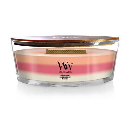 WoodWick?Blooming Orchard Trilogy?Scented Soy Wax Candle Crackling Wick?Ellipse