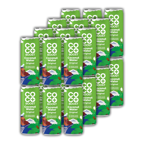 24pc Cocoboost Original 320ml Coconut Water All Natural Drink