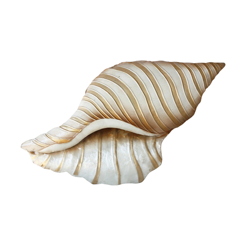 Darlin Capiz/Metal 34x19cm Conch Shell Wall Art V1 Decor Beige