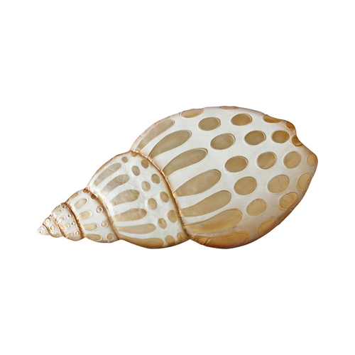 Darlin Capiz/Metal 36x20cm Babylonia Shell Wall Art V2 Hanging Decor Beige