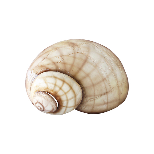 Darlin Capiz/Metal 30x23cm Moon Shell Wall Art V3 Hanging Decor Beige