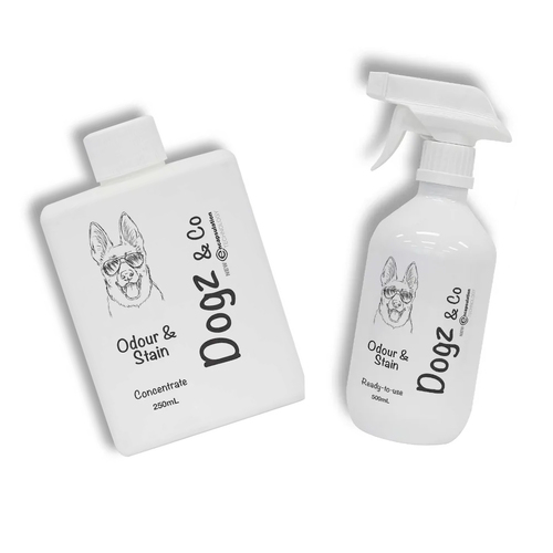 Dogz And Co Pet Odour And Stain Cleaning Concentrate w/Spray Bottle 250ml