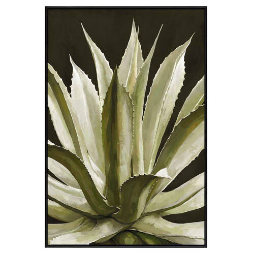 Belle Agave Wall Art Hanging Framed Canvas Home Decor 80x120cm