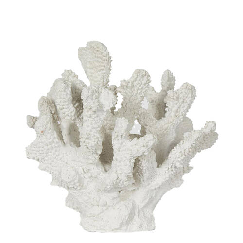 Belle Polyresin Bay White Coral Sculpture 19x18cm - White