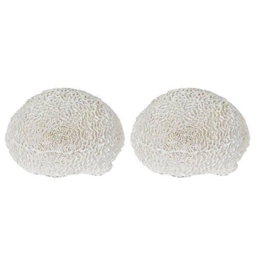 2PK Belle Polyresin Cove White Sea Urchin Sculpture 17x18cm - White