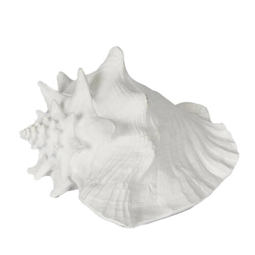 Belle Polyresin Sandy Sea Snail Sculpture 21x19cm - White