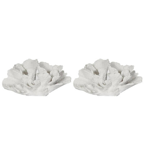 2PK Belle Polyresin Laguna Coral Sculpture 26.5x14.5cm - White 