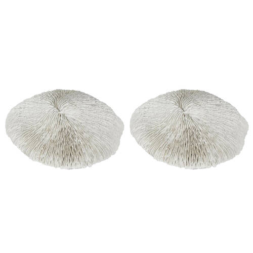 2PK Belle Polyresin Sofi Sea Urchin Sculpture 19x17cm - White