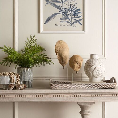 Belle Oyster Polyresin Sculpture Tabletop Home Decor Natural - Large