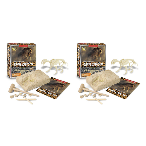 2PK Kaper Kidz Dig & Discover Saber-Toothed Tiger Dig Kits 6y+