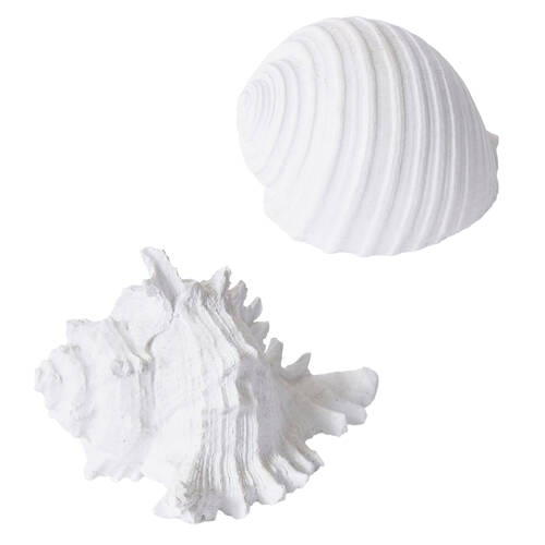 E Style Shell Murex/Shell Moon Snail Sculpture Home Decor Combo Set White