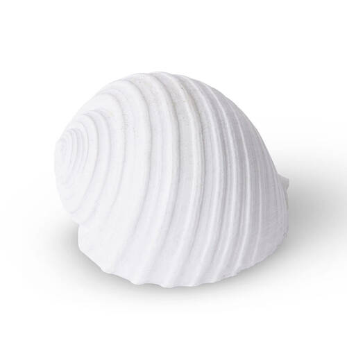 E Style Shell Moon Snail Sculpture Tabletop Home Decor 11cm White