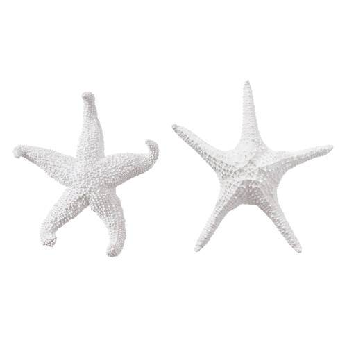 E Style Starfish Ochre/Bat Star Sculpture Home Decor Combo Set White