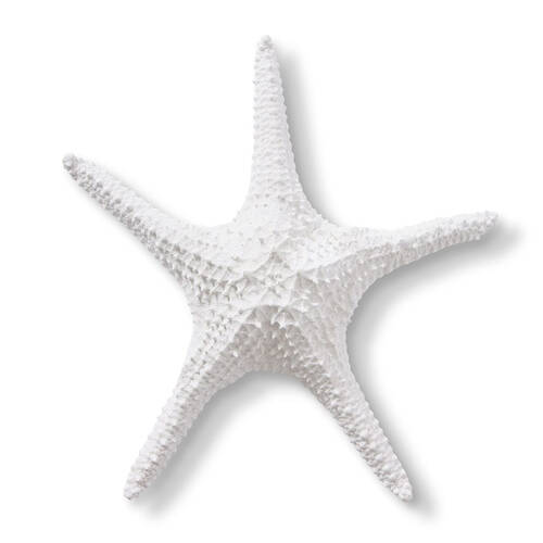 E Style Starfish Bat Star Sculpture Tabletop Home Decor 32cm White