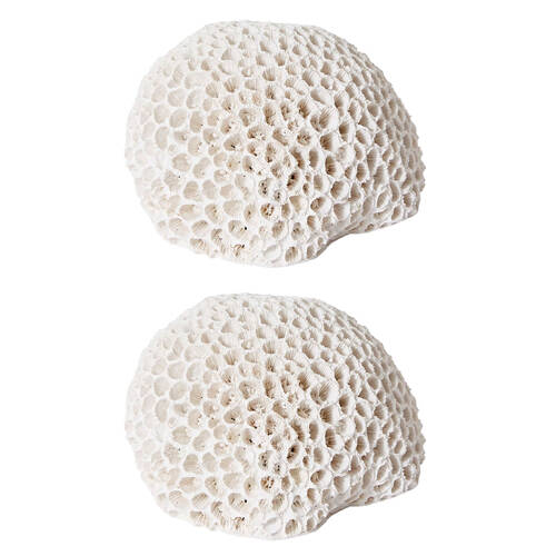 2PK E Style Coral Brain Decorative Display Polyresin 16x13cm - White