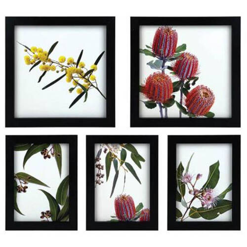 5pc Frankie & Me Wooden Collage Picture Frame Home/Office Photo Decor Black