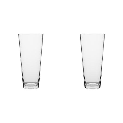 2PK Ecology Fleur Conical Glass Vase Decorative Flower Vessel 30cm